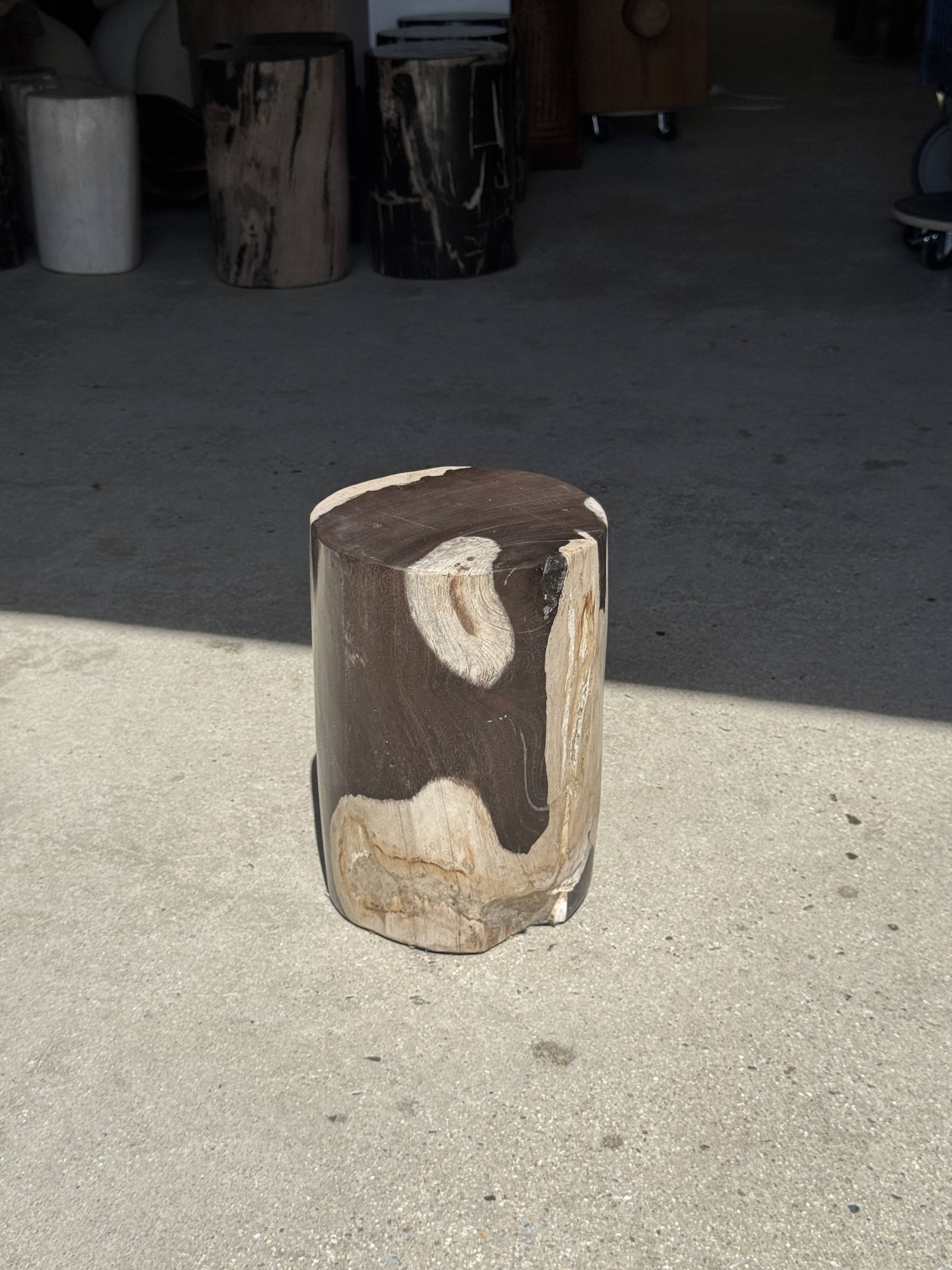 Small side table in black and white petrified wood H28 D18