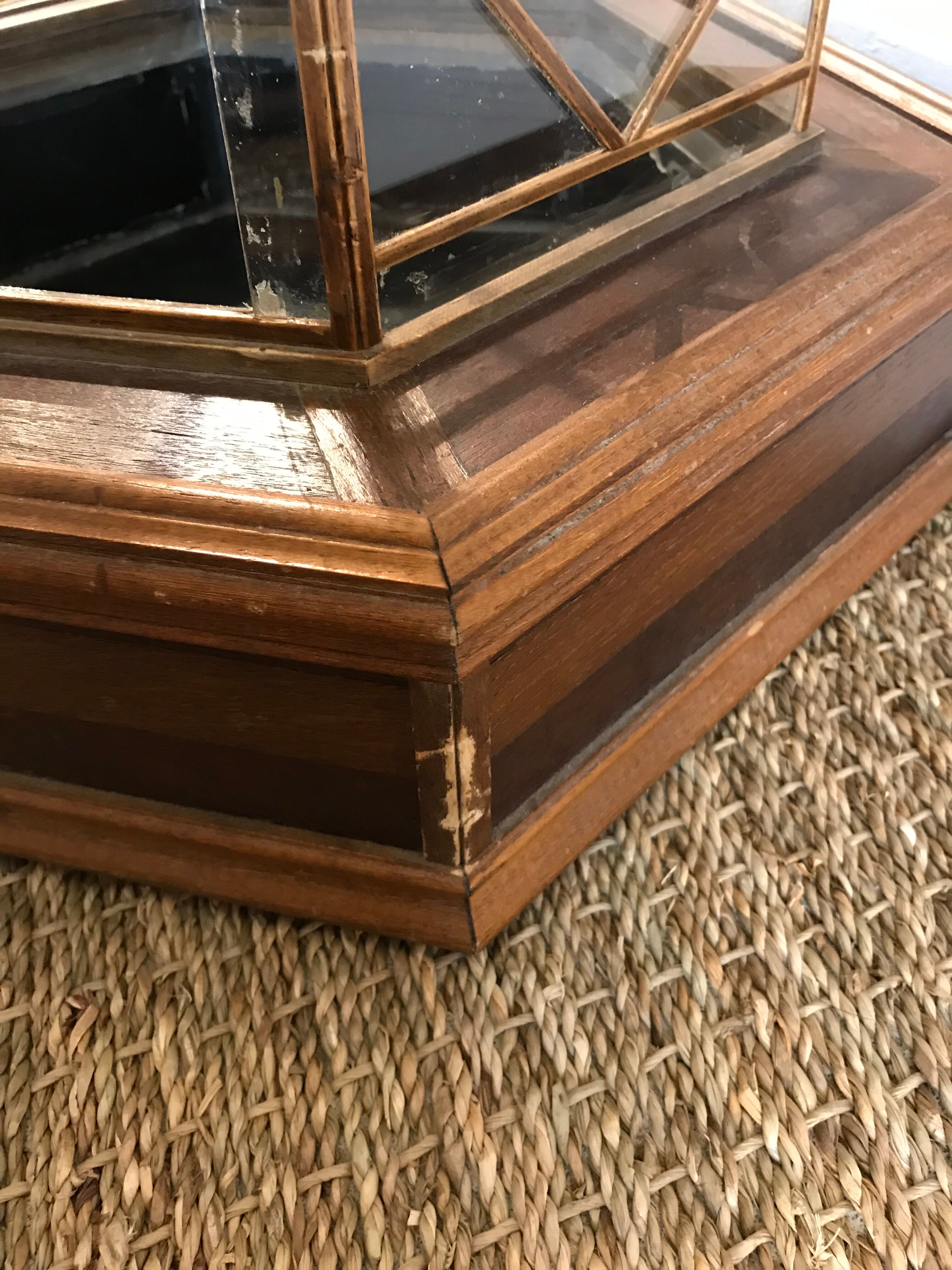 Cabinet of curiosity nineteenth century