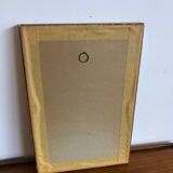 Vintage botanical illustration