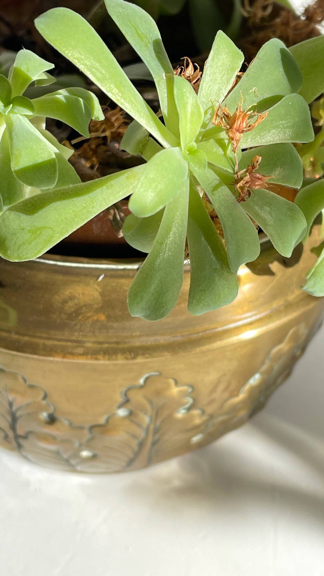 Art nouveau floral decor planter