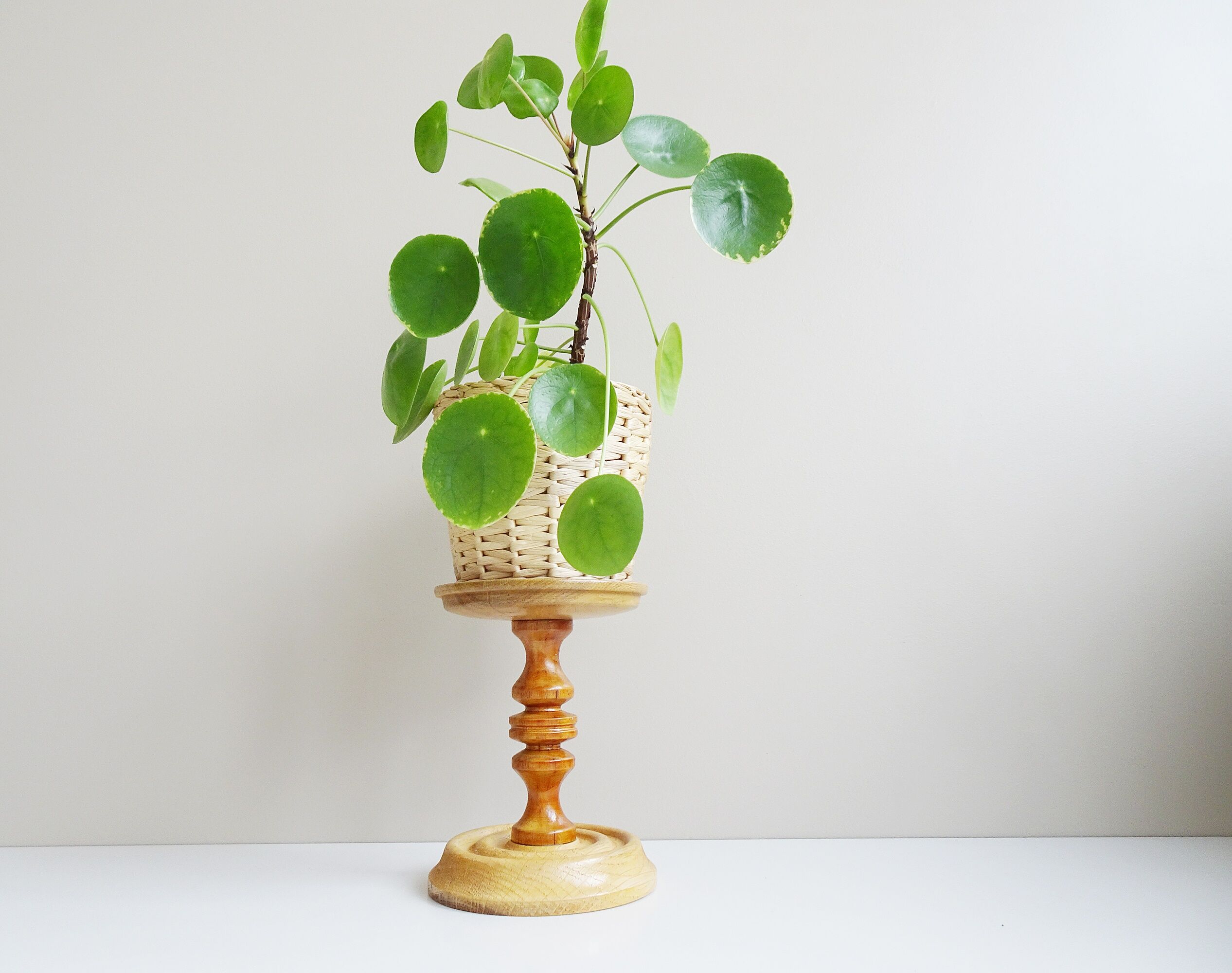 Wooden plant stand