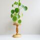 Wooden plant stand