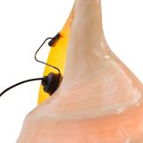 Shell lamp mid century modern