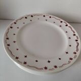 Céranord Saint Amand plates star model
