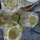 Concrete tree trunk planter