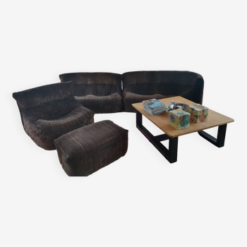 Aralia Ligne Roset sofa set