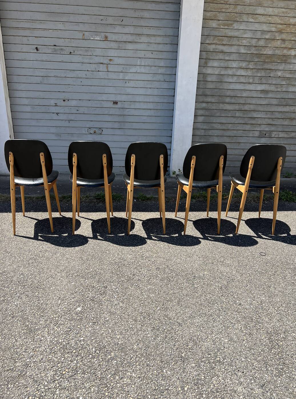 (Lot) 5 Chaises Pégase, Pierre Gurariche pour Baumann