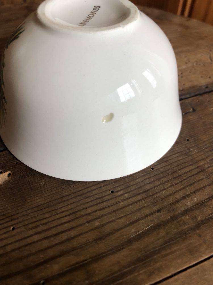 Vintage set of 5 Anemones flower cups and saucers