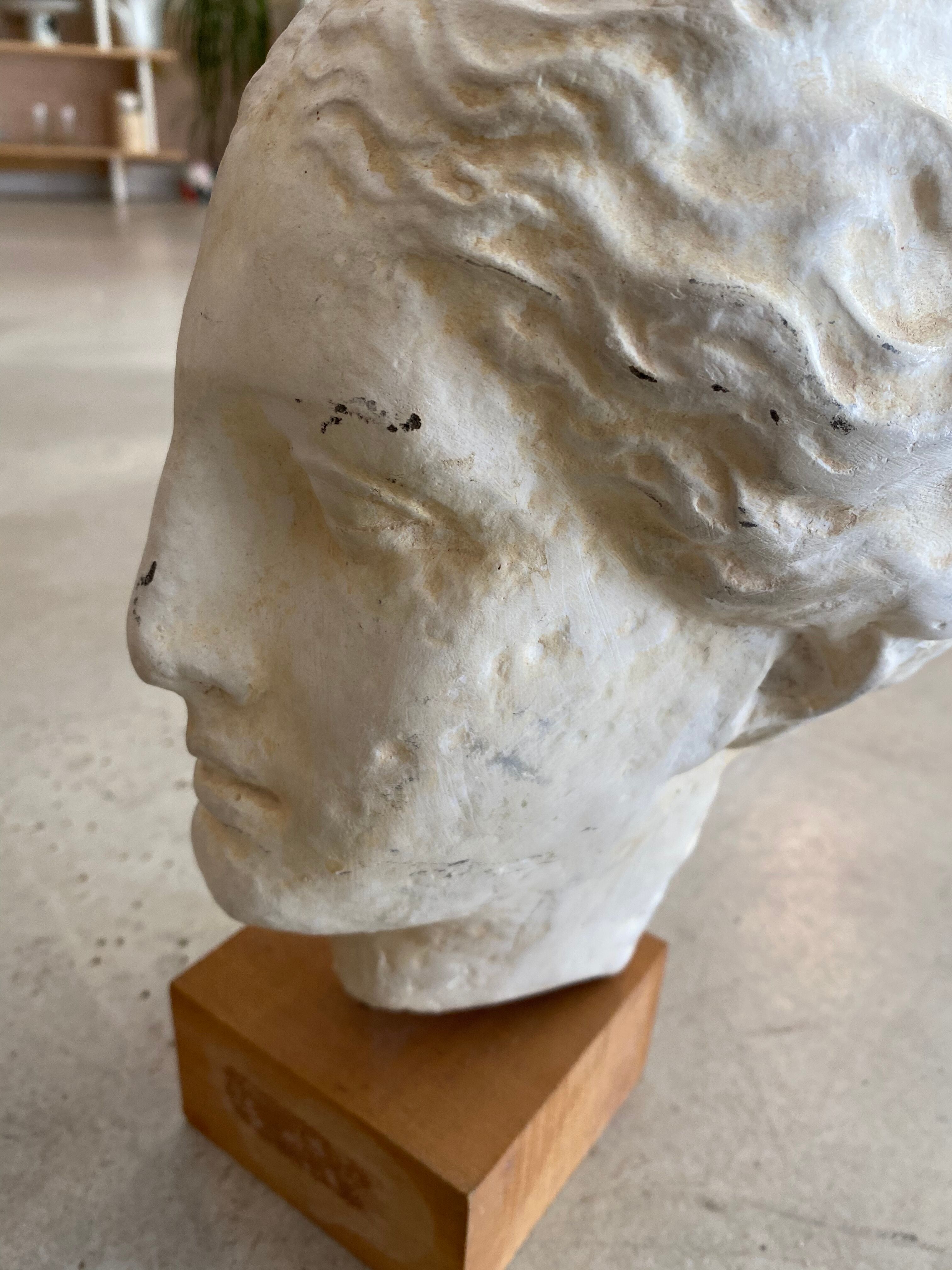 Antique plaster head