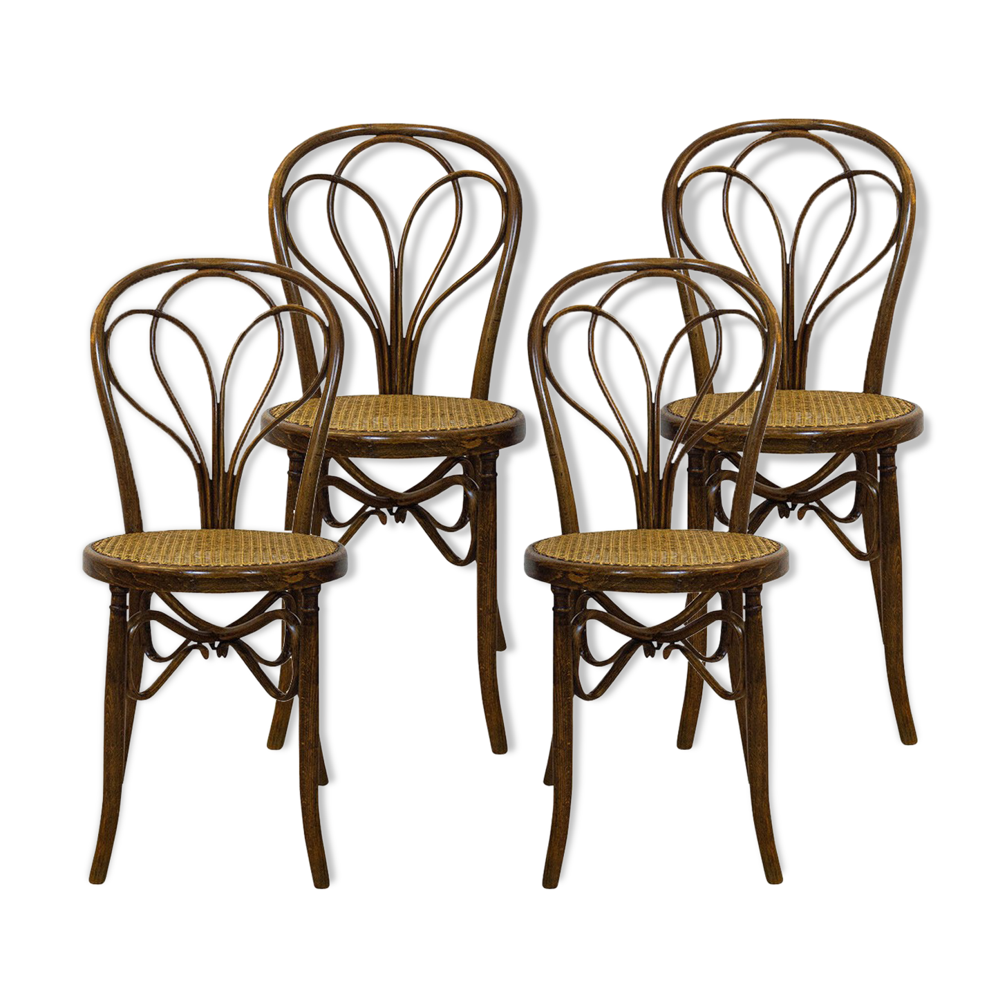 Antique Spanish Bentwood Chair in Oak by Ventura Feliu, 1890s, Set of 4