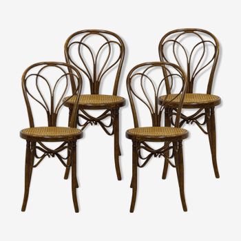 Antique Spanish Bentwood Chair in Oak by Ventura Feliu, 1890s, Set of 4