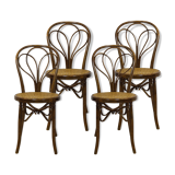 Antique Spanish Bentwood Chair in Oak by Ventura Feliu, 1890s, Set of 4