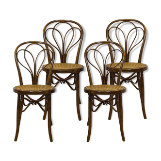 Antique Spanish Bentwood Chair in Oak by Ventura Feliu, 1890s, Set of 4