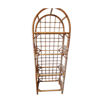 Rattan and bamboo library