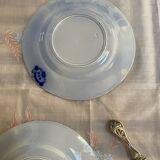 Set of 2 U&C dessert plates, Sarreguemines, Jardinière model