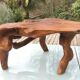 Brutalist teak root coffee table