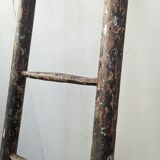 Painter's ladder