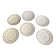 6 Paris porcelain plates, "A la Reine" model, 1890, Damon