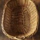 Oval basket wicker basket two handles