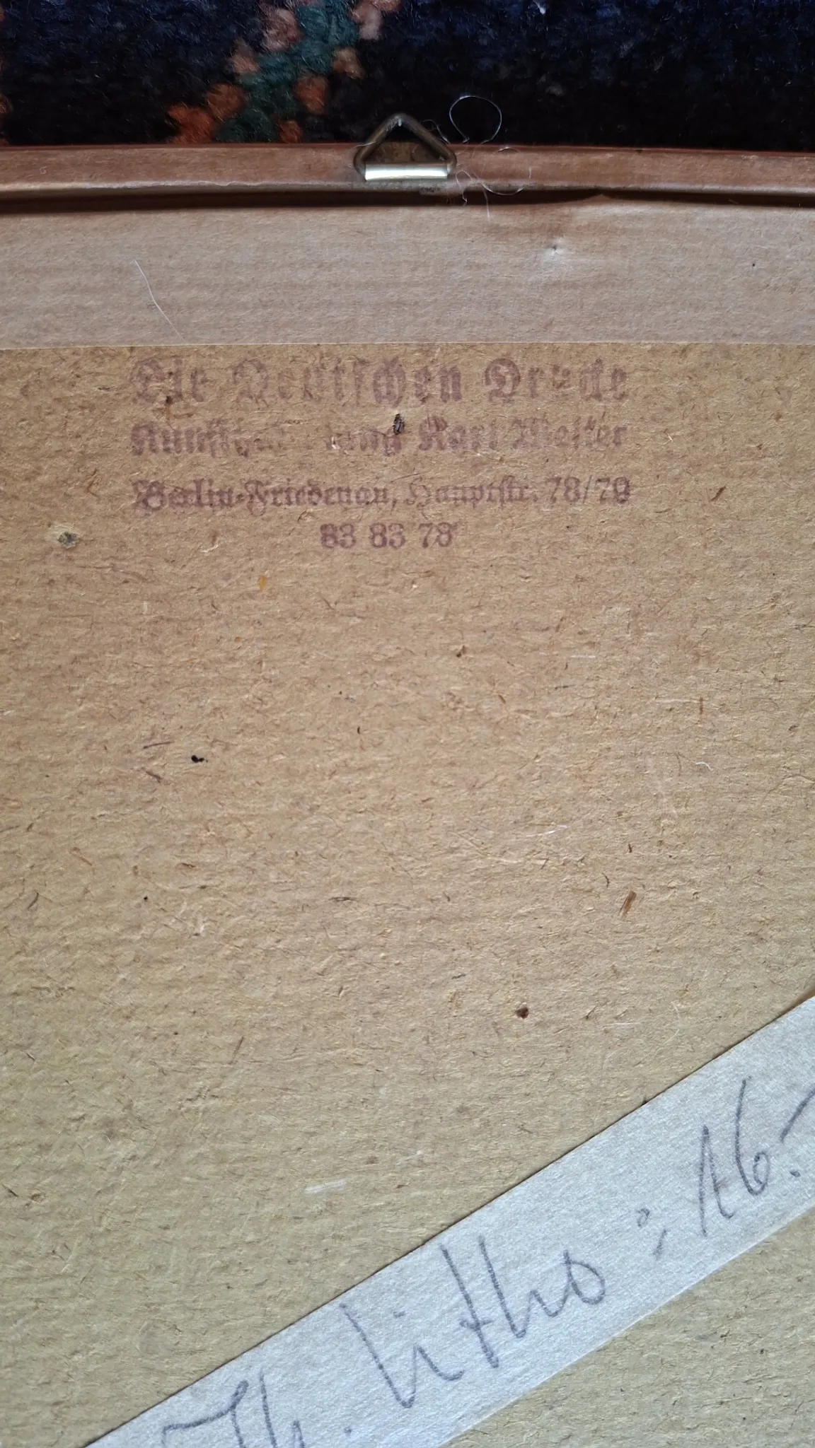 Set of 4 authentic antique naturalist lithographs (circa 1850)