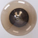 Set Dijkstra Wall or Ceiling Lights 1970s