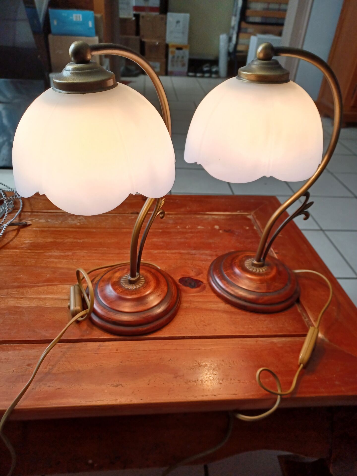 Set of 2 vintage goose neck lamps
