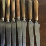 12 horned handle knives