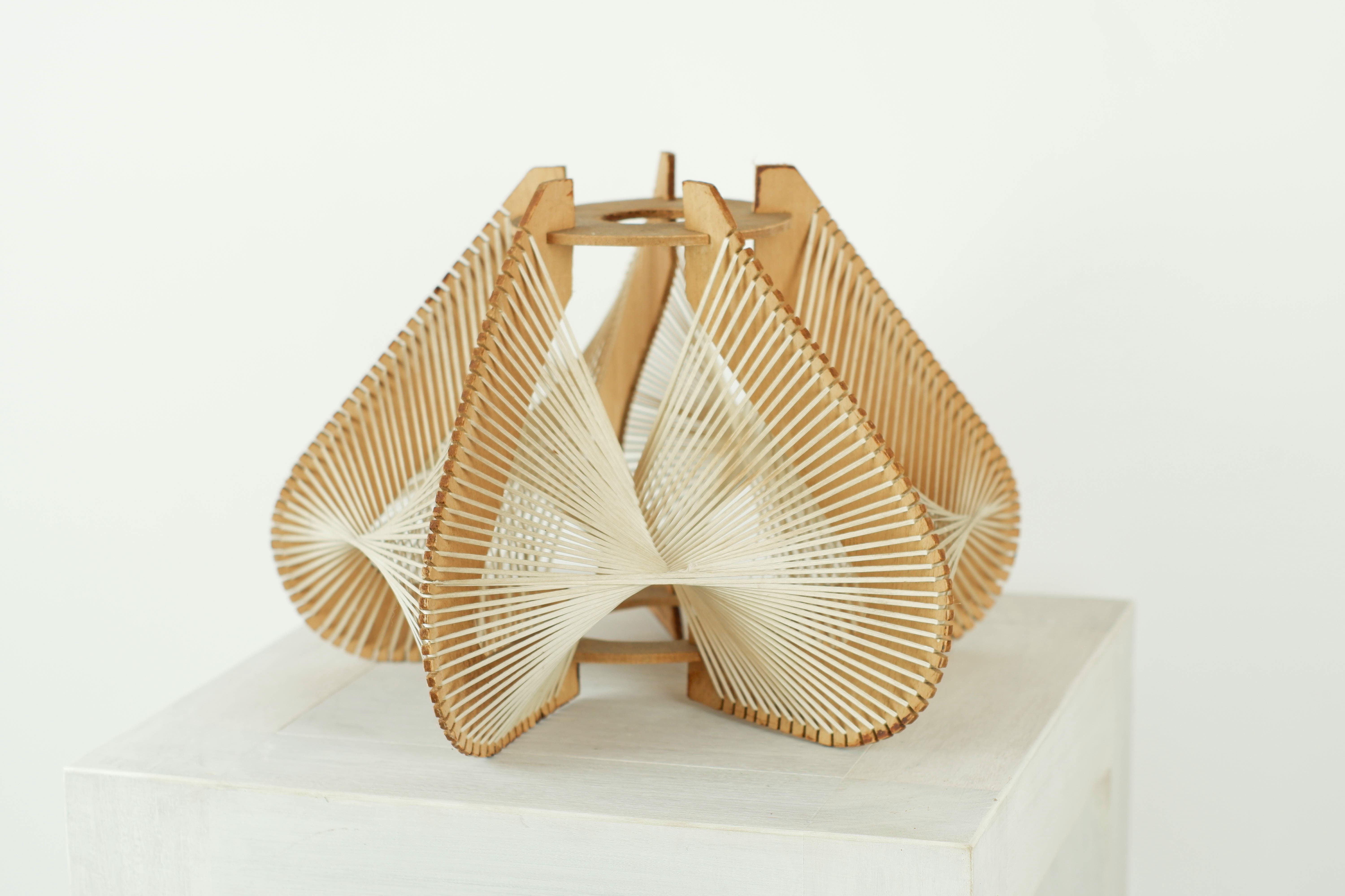 Lampshade for suspension in wire and wood