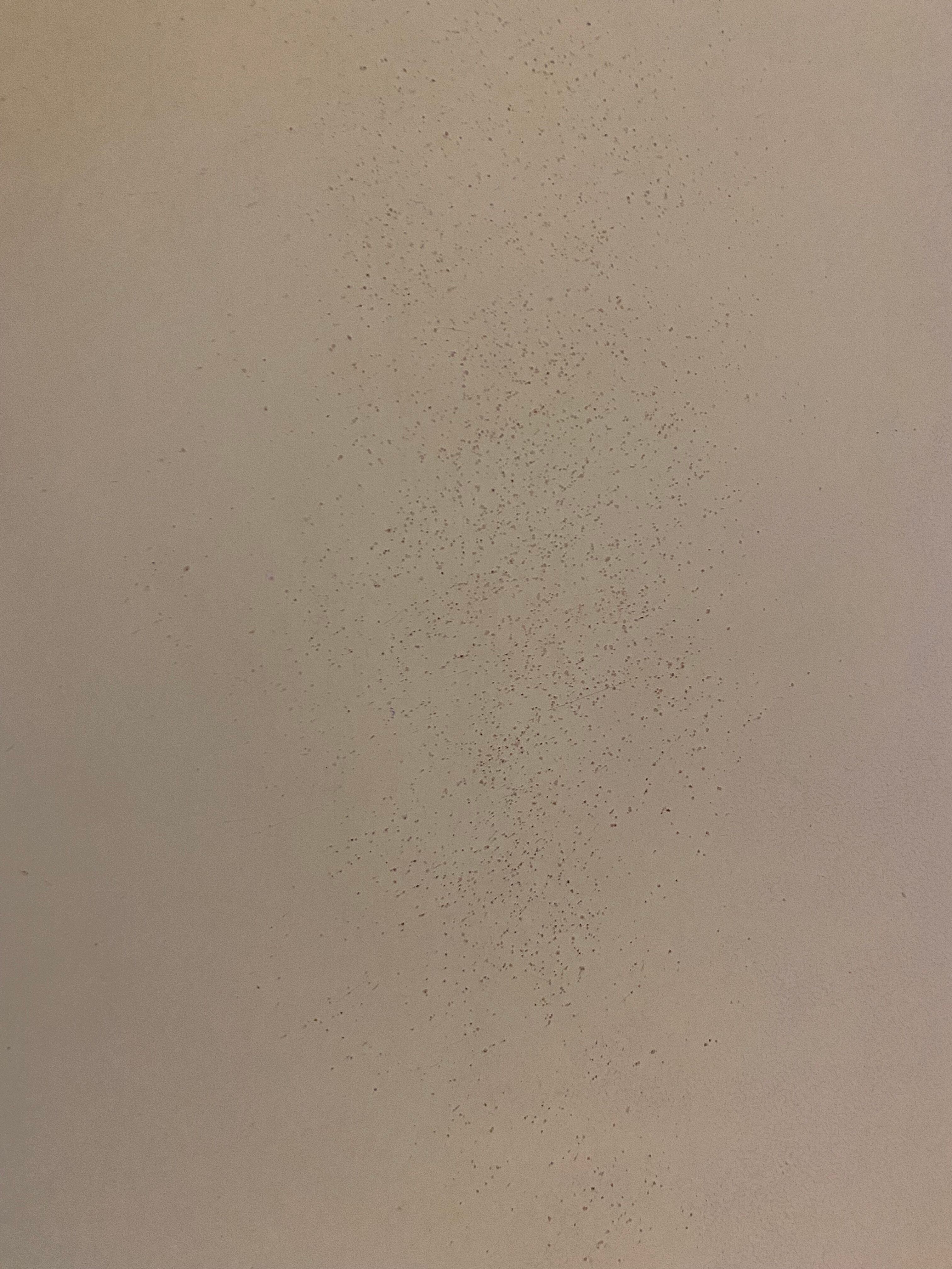 Set table - Chair - Stool formica Vintage