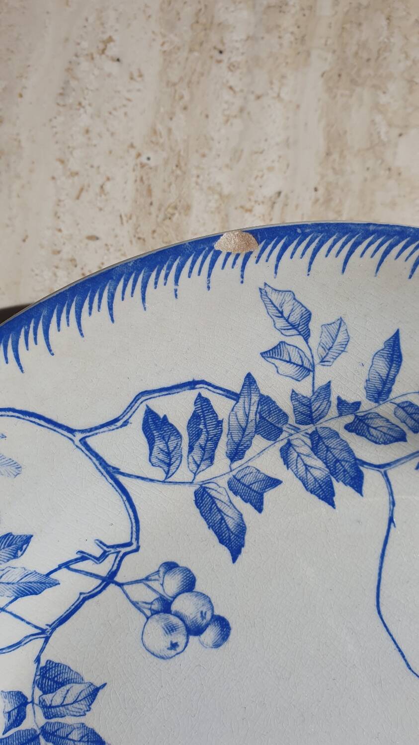 Choisy le Roi plates