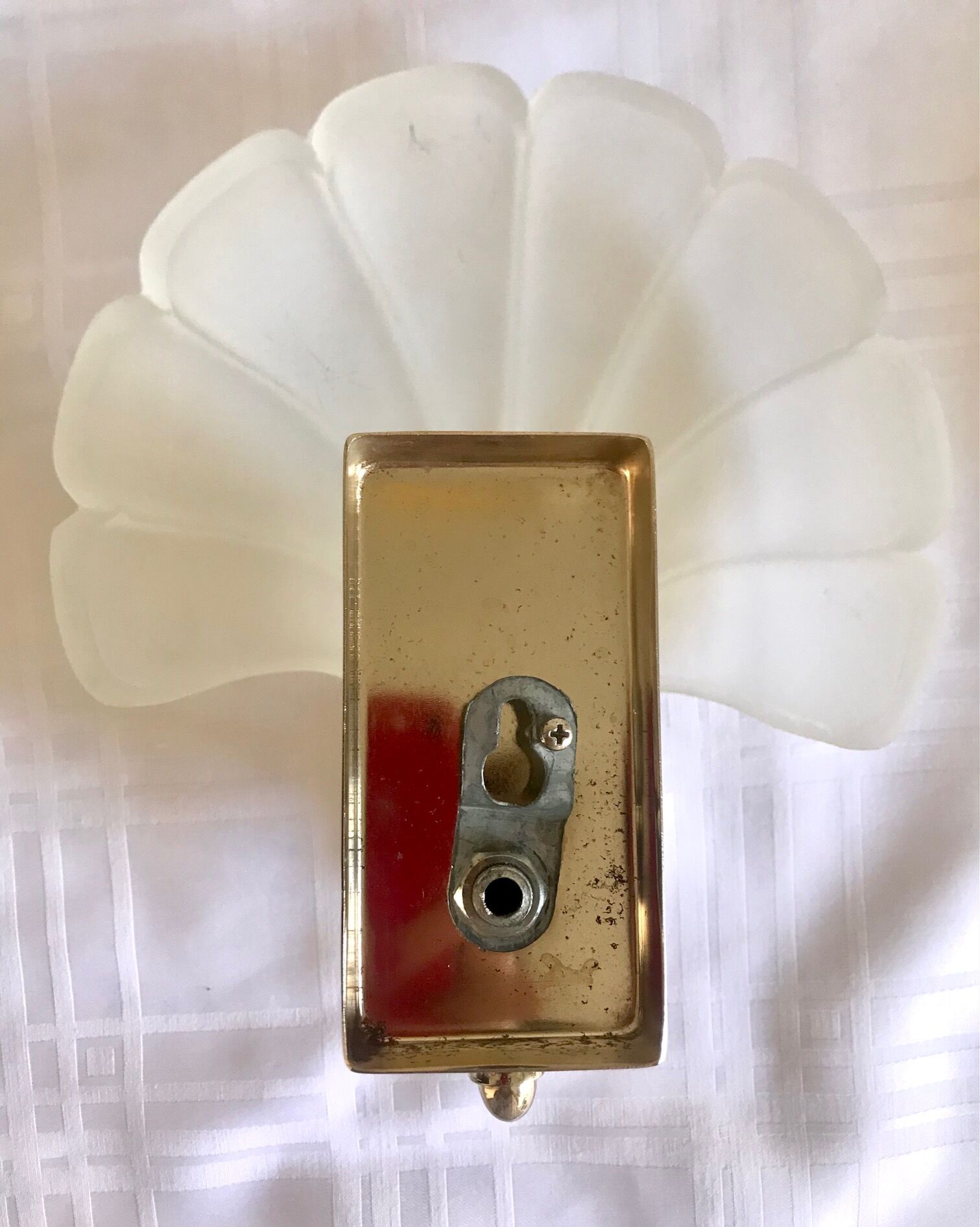 Pair of shell sconces