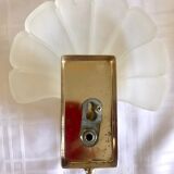 Pair of shell sconces