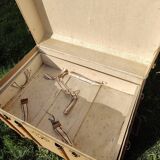 Trunk 1900