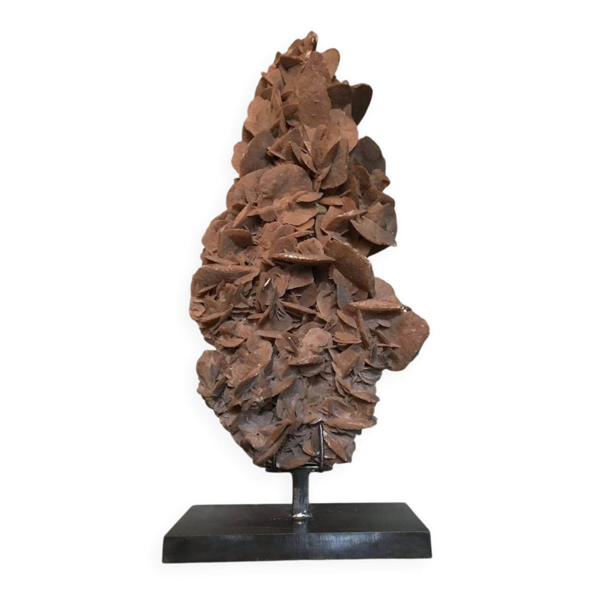 Sandy rose with a base