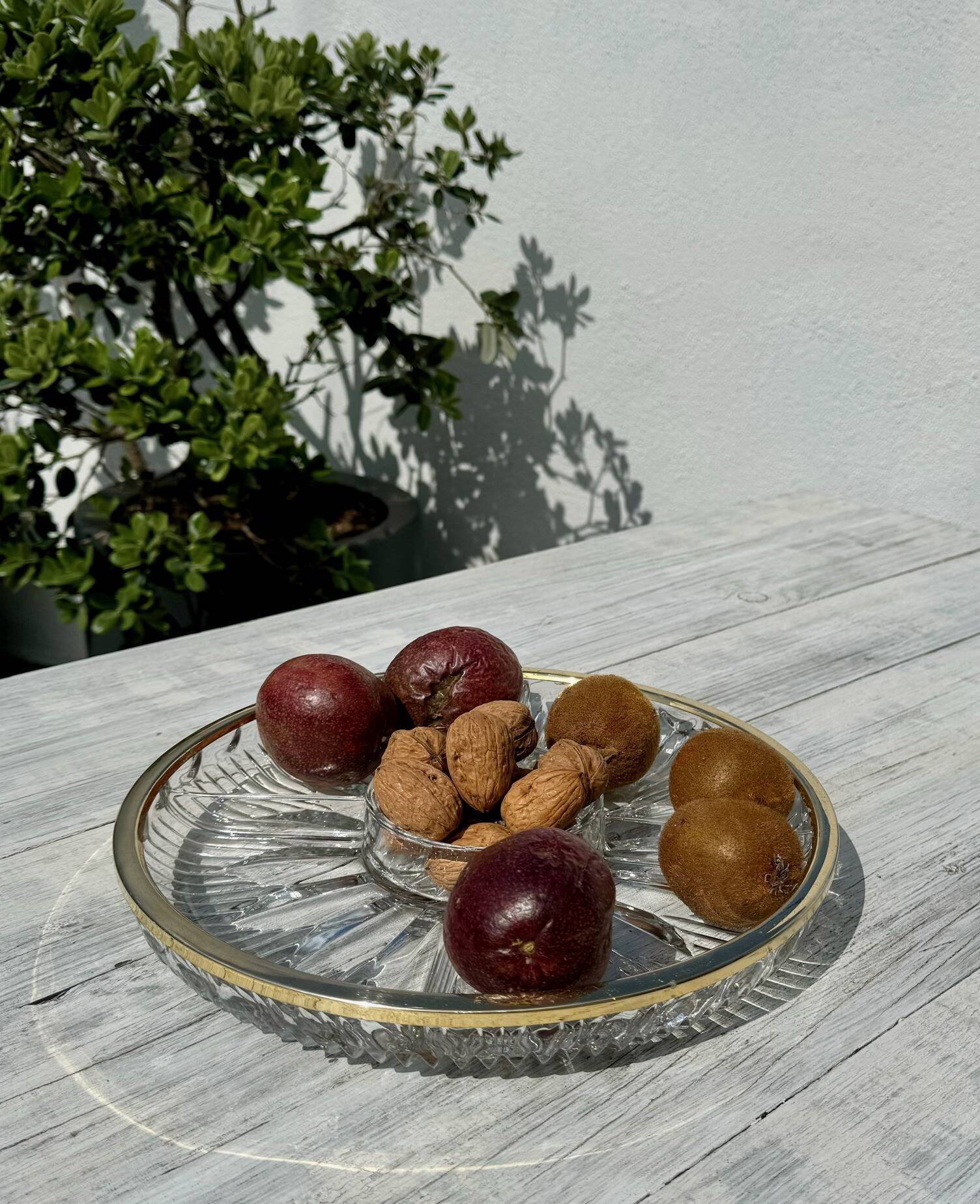 Large compartmentalized dish