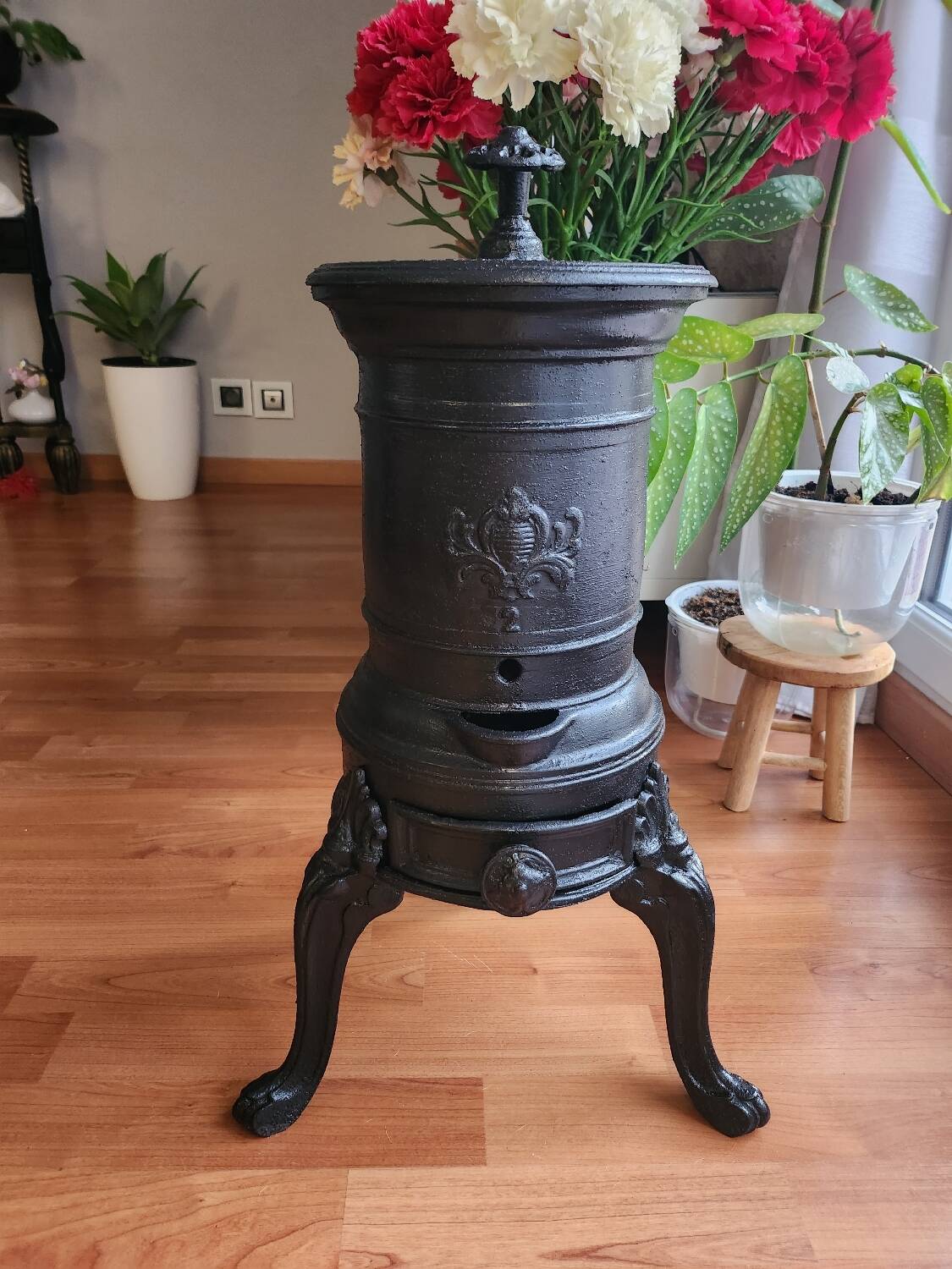 Cast iron wood stove