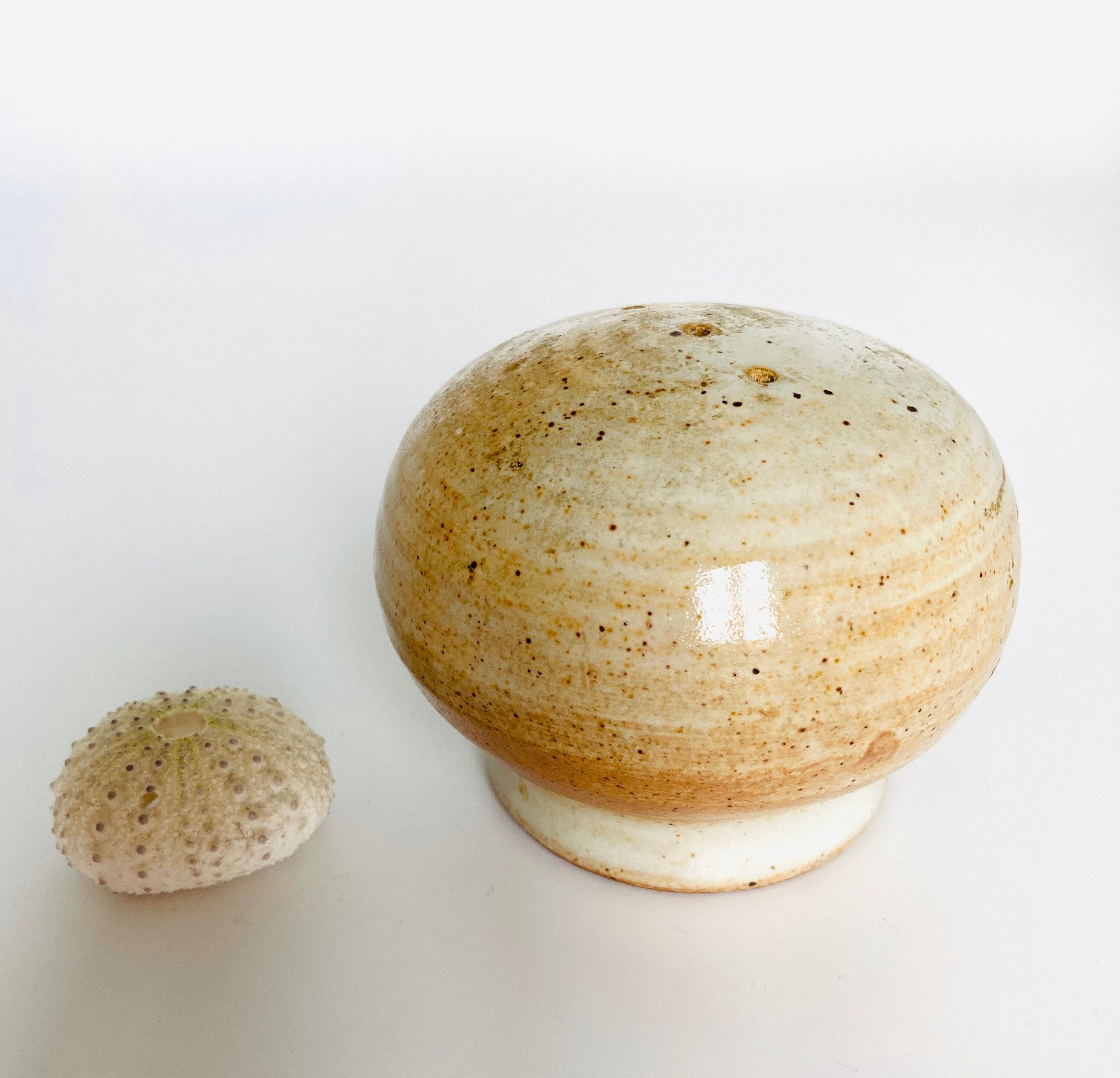 Salt shaker Sandstone of the Marsh