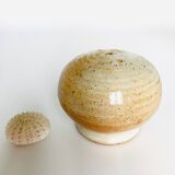 Salt shaker Sandstone of the Marsh