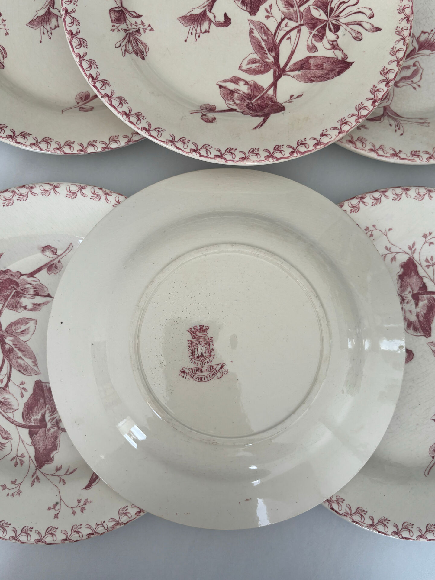 Set of six plates, ironstone, red, Gien, honeysuckle, earthenware.