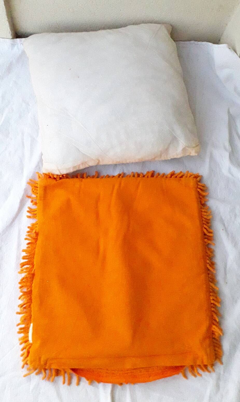 2 coussins oranges