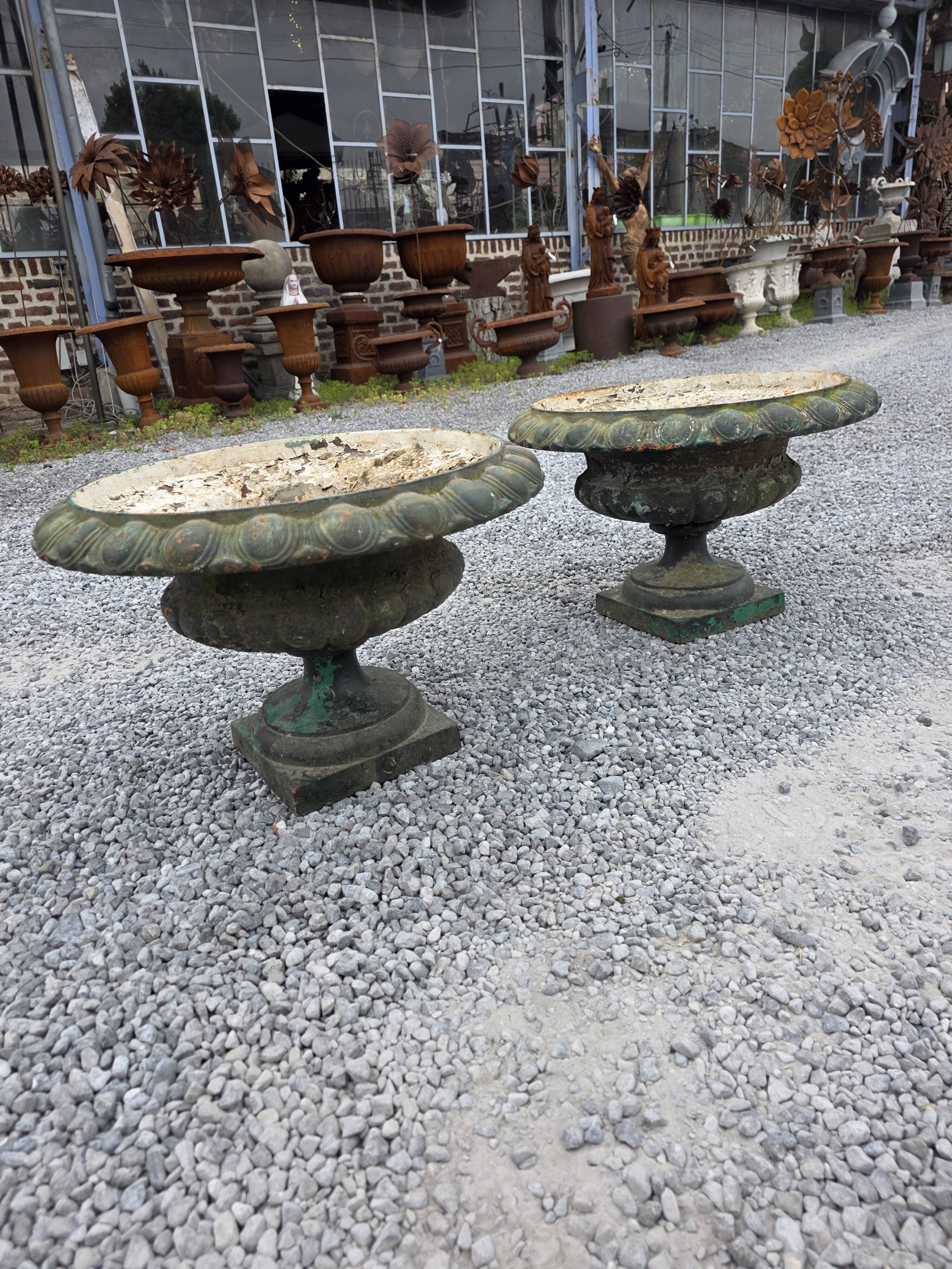 Pair of Medici vases in cast iron from the 19th century, 55cm wide.