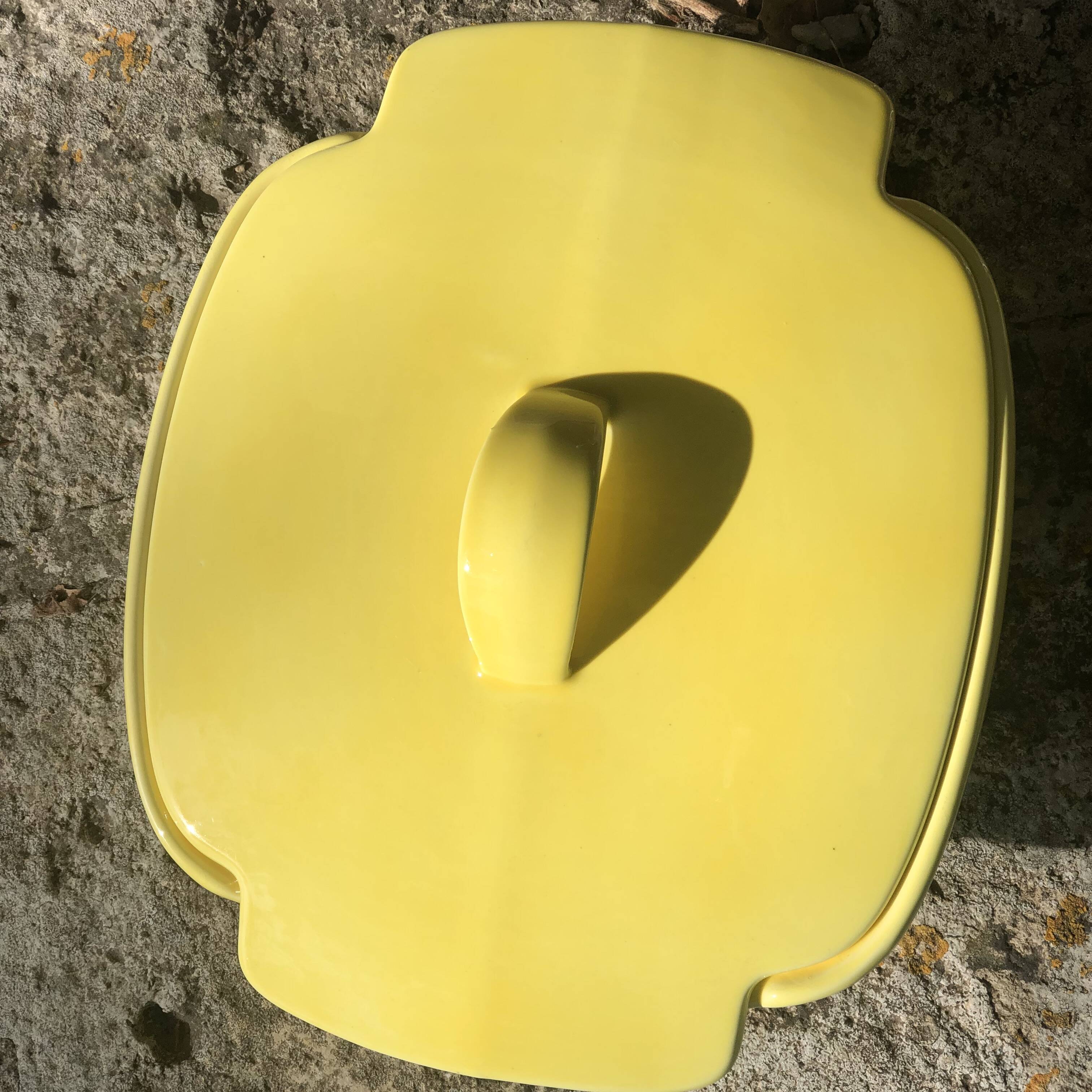 Yellow tureen dish