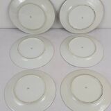 6 flat plates decorated with barbs