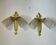 Pair of Art Deco wall sconces