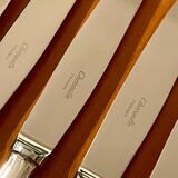 Christofle pearls, 24 knives excellent condition with box