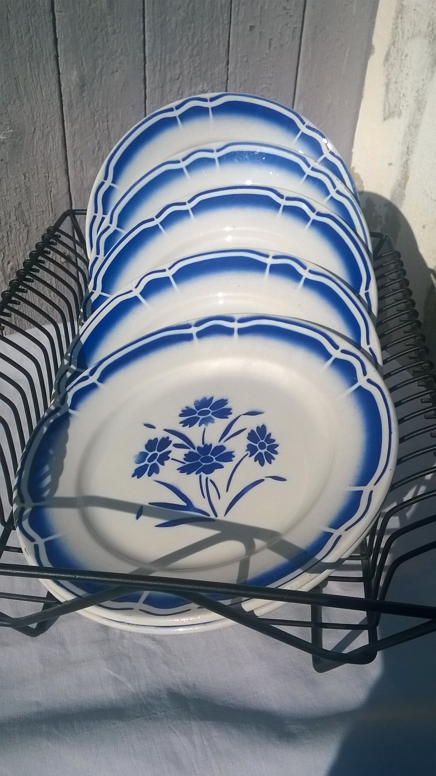 6 old plates on the ground "blue flowers"