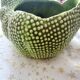 Vintage cache pot grenouille ceramique Jean Roger