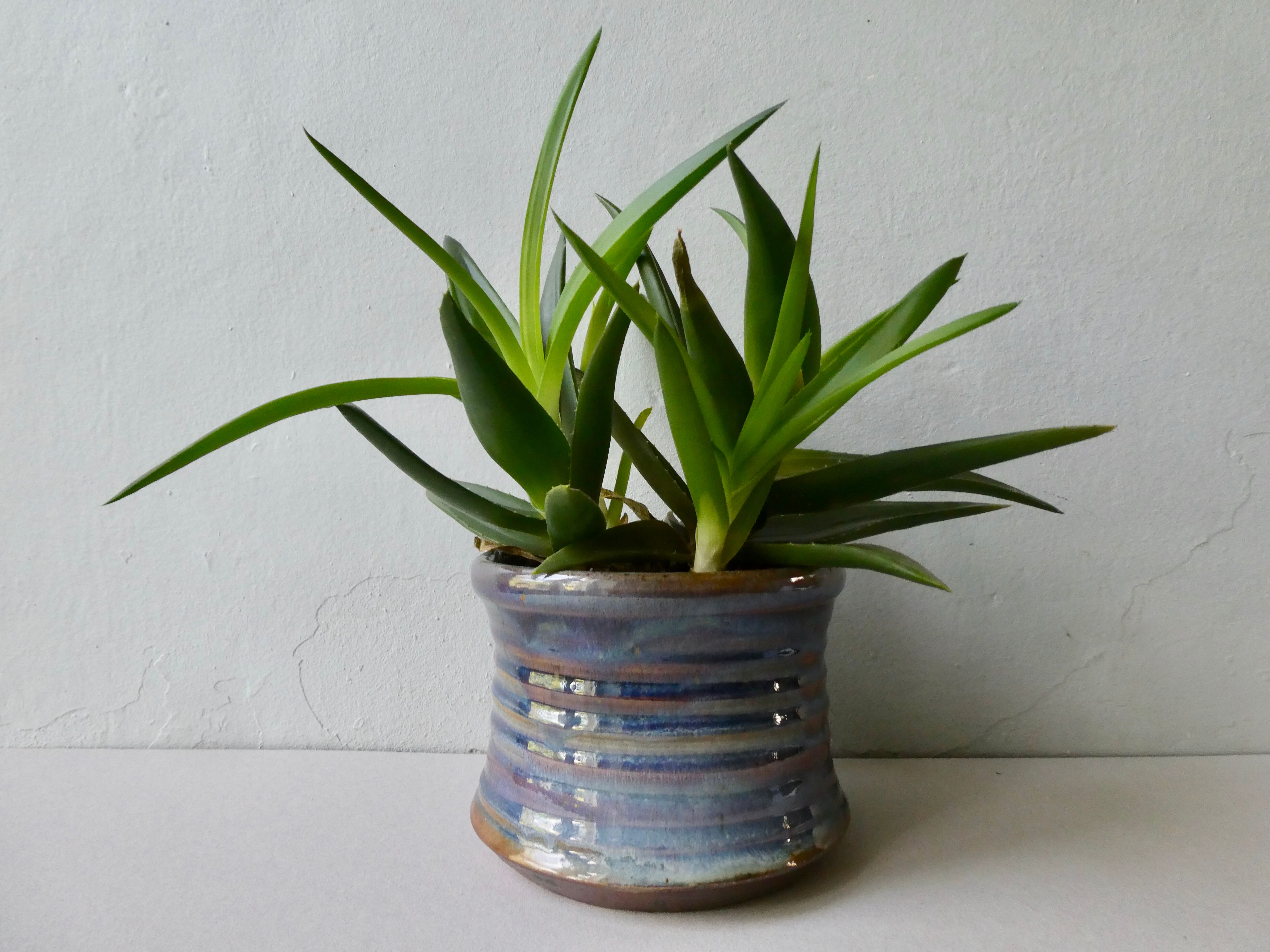 Enamelled sandstone pot cover by Alain Magne, the Borne