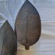 Wall decoration leaves