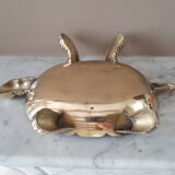 Empty turtle brass pocket